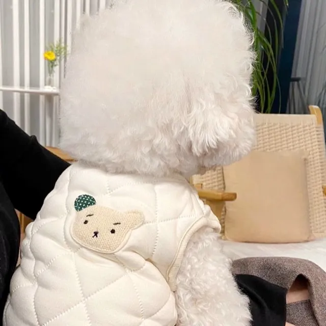 Padded Coat Vest For Dogs In Autumn And Winter White - Shop at LoveMi