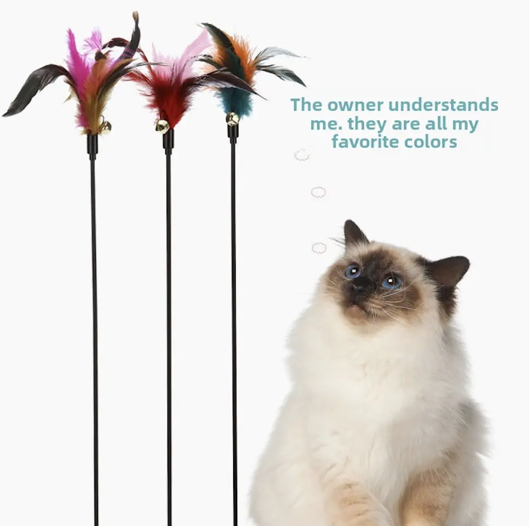 Colorful Feather Cat Wand, Teaser