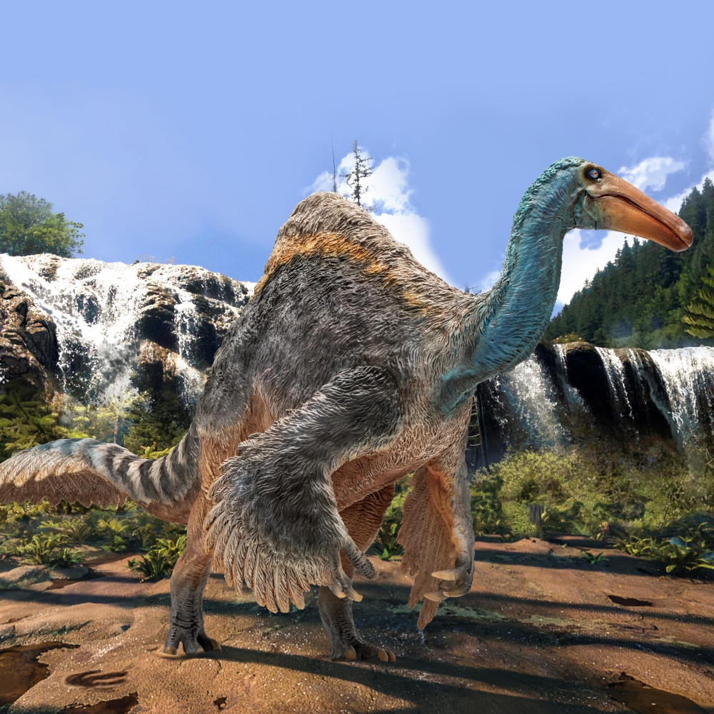 Jacques Dinosaur King Growth Company Model