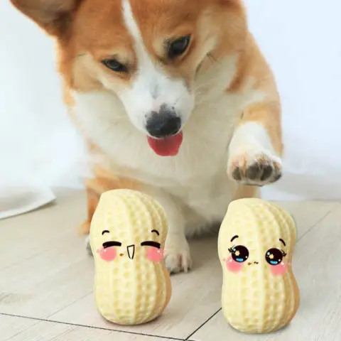 Funny Pet Dog Squeaky Toys for Small Middle Dogs