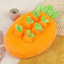 Large Carrot