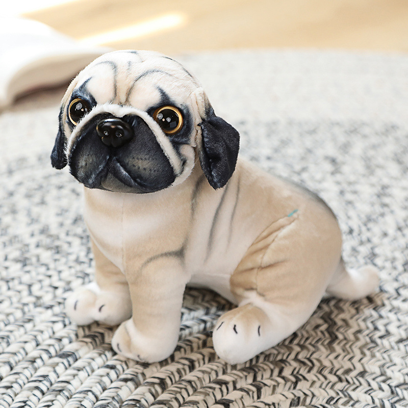 Pug