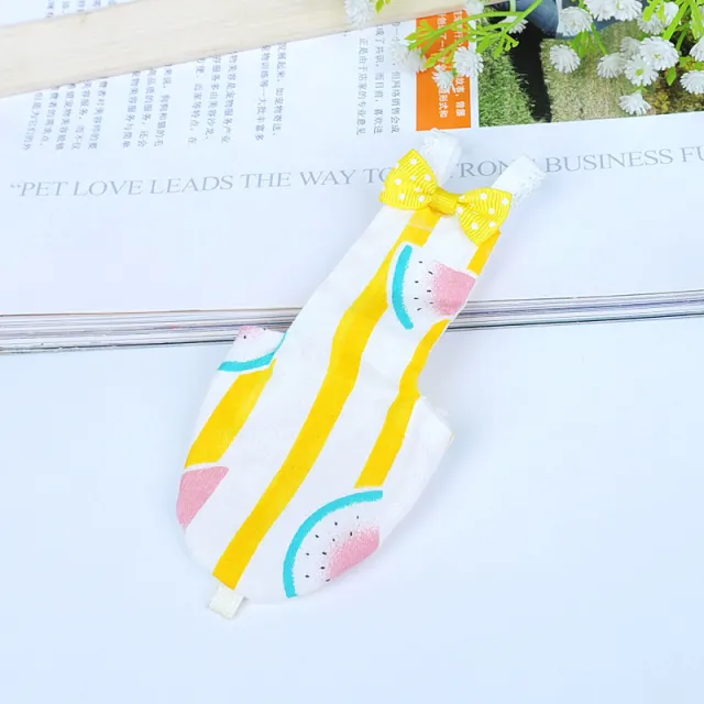 Shit Pocket Diaper Flight Suit Pigeon Parrot Diapers New Pet Bird Clothes Diapers Watermelon S - Shop at LoveMi