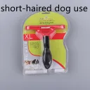 Shorthaired Dog Use Red