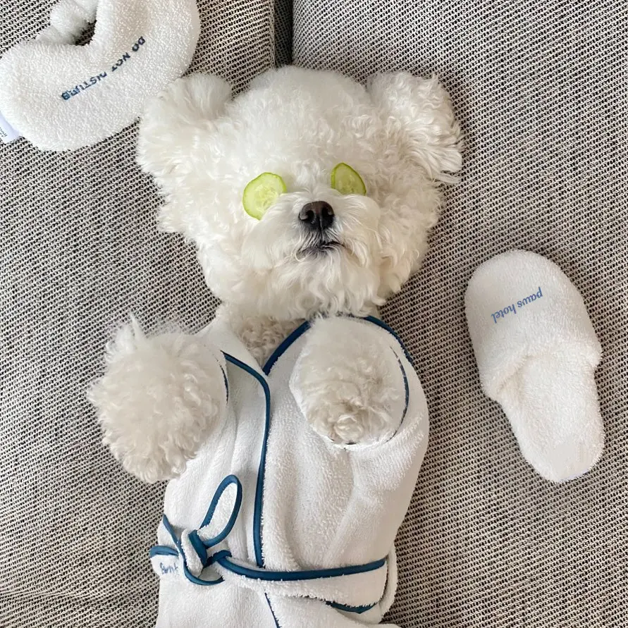 Pet Bath Towel Bathrobe Photo Prop Nightgown Pajamas Dog