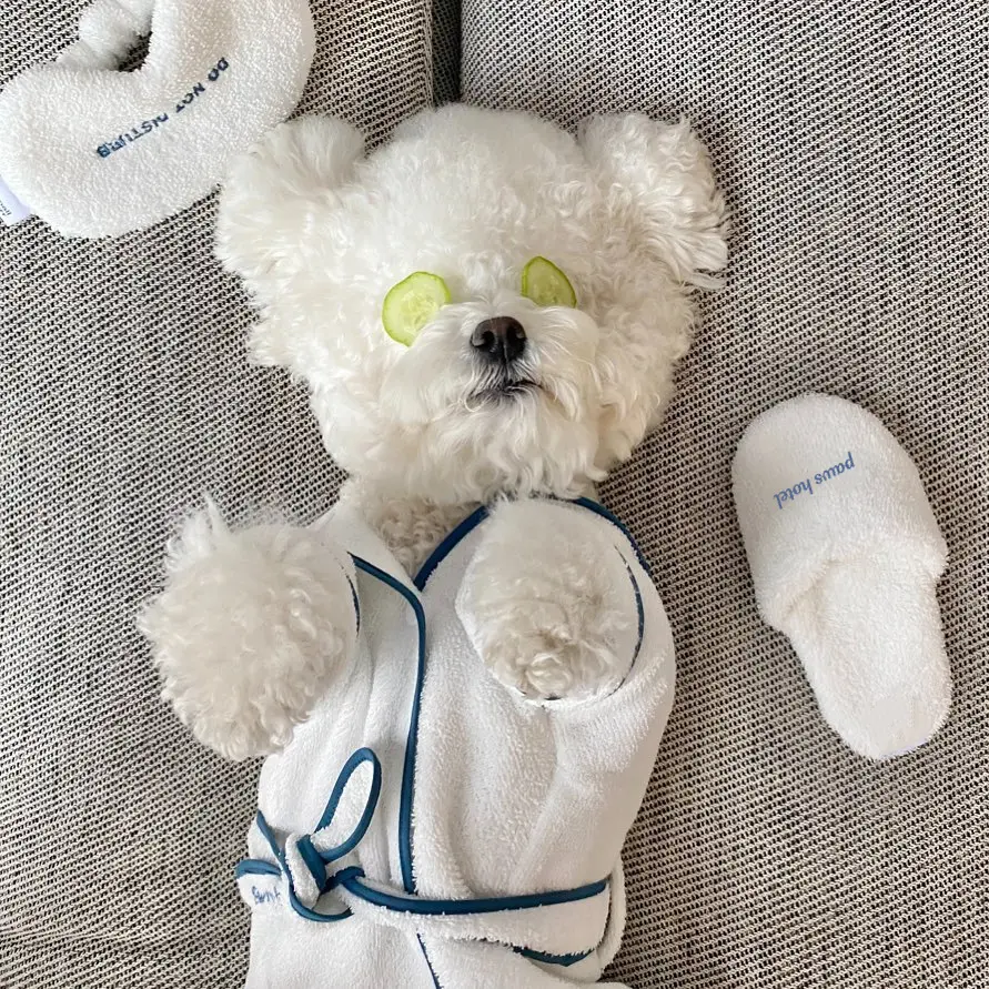 Pet Bath Towel Bathrobe Photo Prop Nightgown