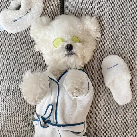 Pet Bath Towel Bathrobe Photo Prop Nightgown Pajamas Dog