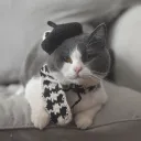 Black Hat And Black Scarf