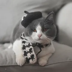 Small Hat Beret Knitting Plaid Small Scarf Dog - Black Hat And Black Scarf - View 1