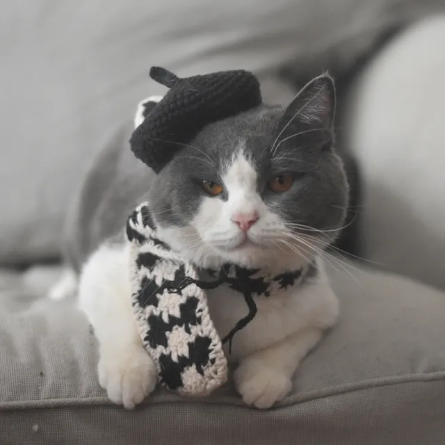 Small Hat Beret Knitting Plaid Small Scarf Dog Black Hat And Black Scarf - Shop at LoveMi