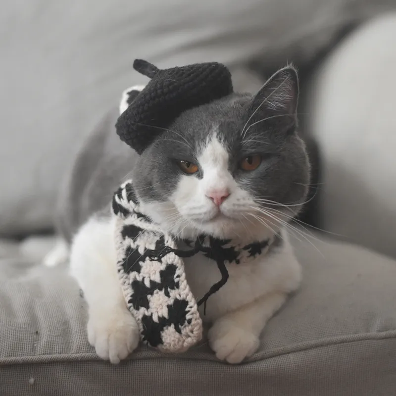 Small Hat Beret Knitting Plaid Small Scarf Dog - Black Hat And Black Scarf