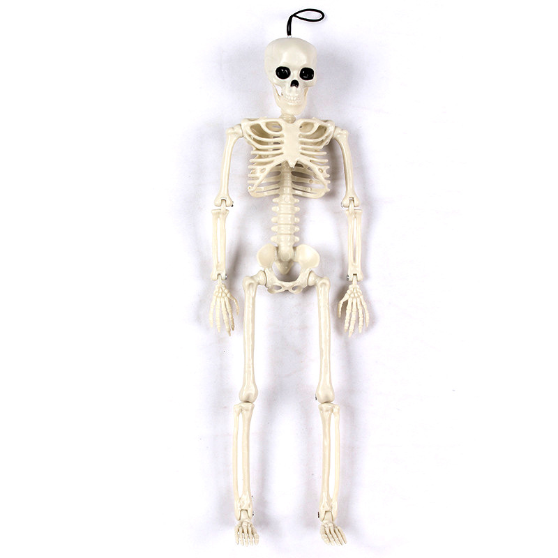 Skeleton Without Clothes