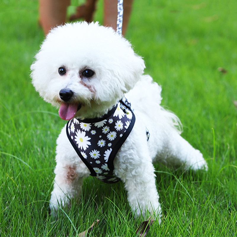 Small Pet Double Sticky Fly Bowl