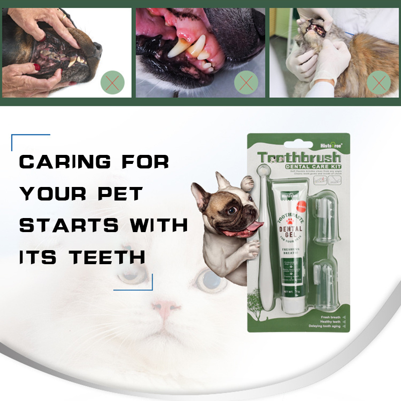 Pet Oral Hygiene Kit with Brushes, Toothpaste, and Flavors including a dual-sided toothbrush, long handle design, soft bristles, fingerbrush, and poultry-flavored toothpaste.