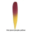 21Color