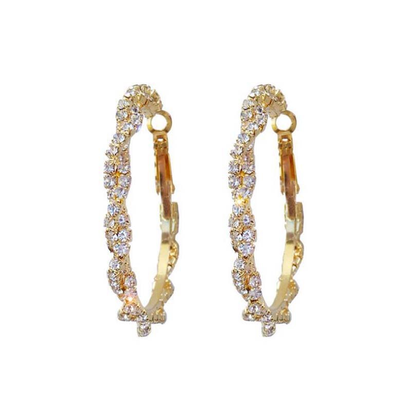 S925 Silver Needle European And American Micro-inlaid Zircon Circle Earrings