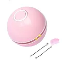 Pink Usb Charging Belt Accesso