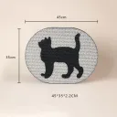 Black Cat With White