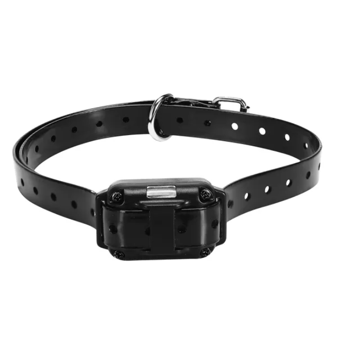 Récepteur de collier de dressage pour chien IP67 étanche