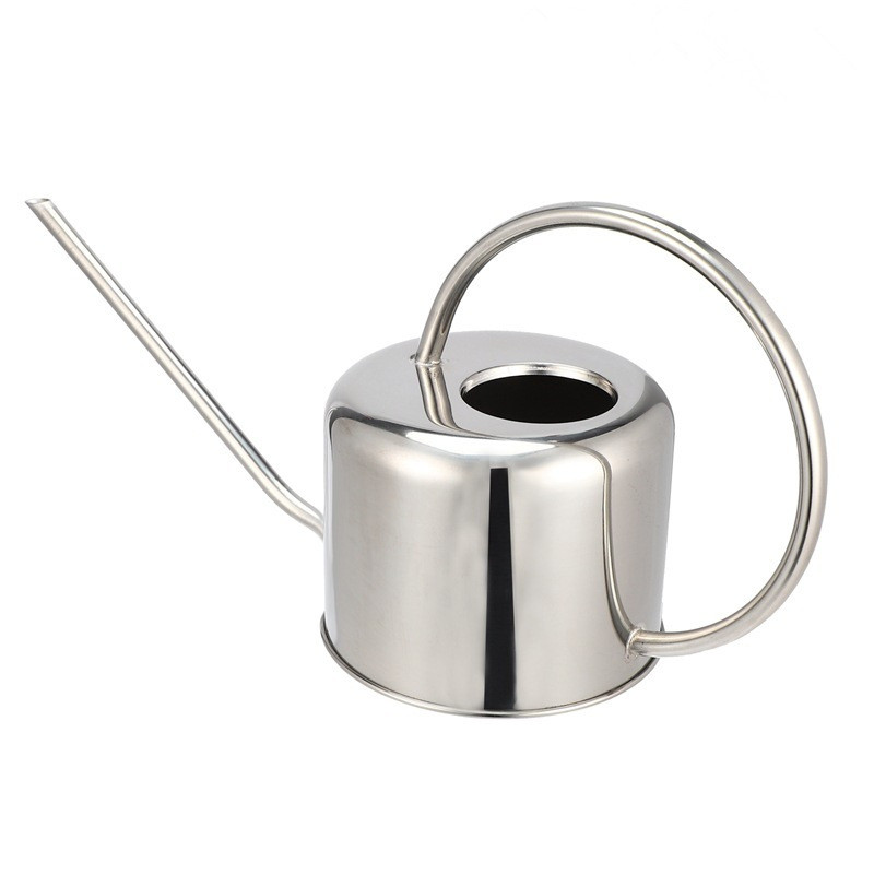 Stainless Steel Watering Can, 2 L