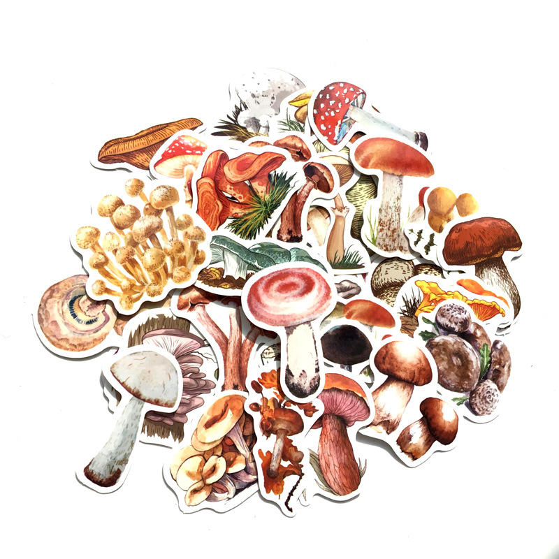 Various Types of Mushroom Stickers 40Pcs | Cute Waterproof