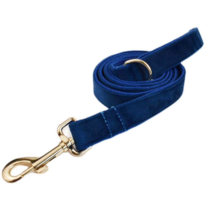 Dog leash1