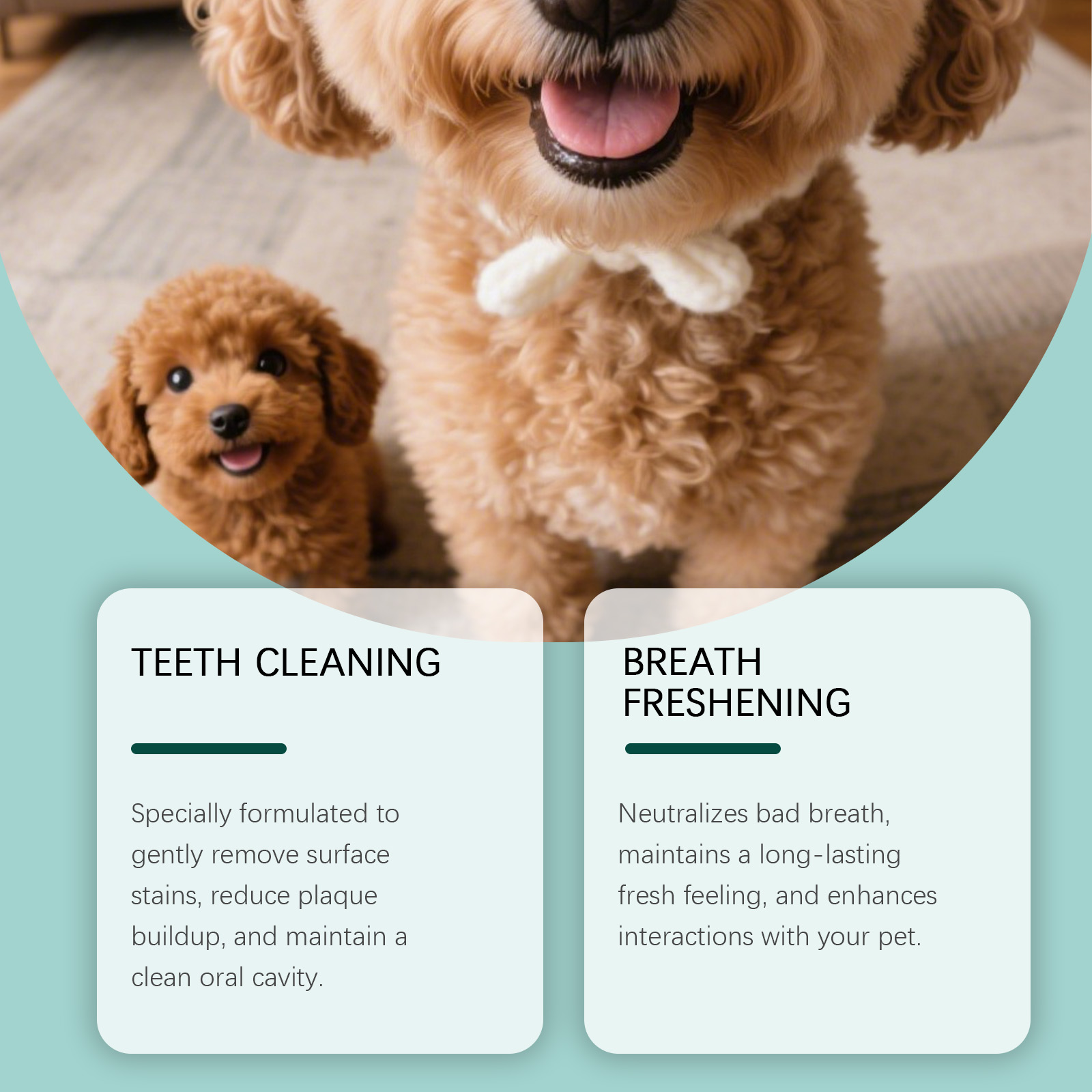 Dog Tooth Cleaning Powder 7