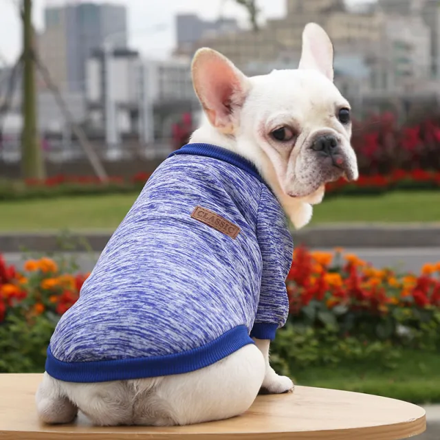 Fall Winter New Style Sweater Two legged Clothes Dog Supplies Navy Blue - Shop at LoveMi