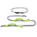 Fluorescent Green4212