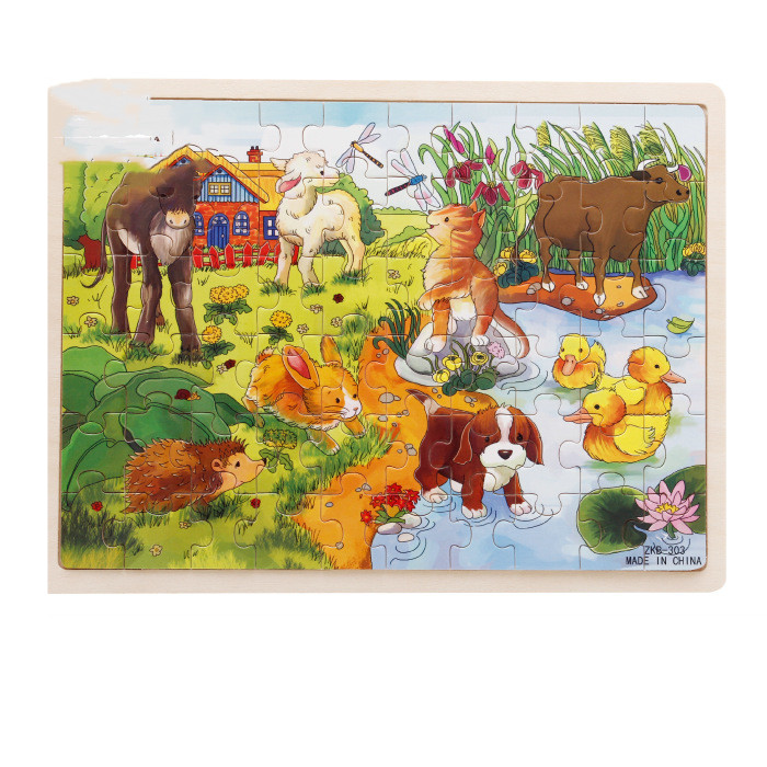 Farm Pond Puzzle