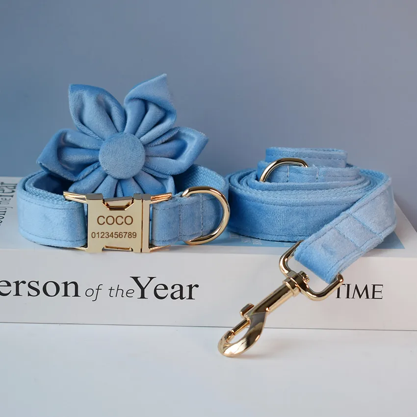 Blue Velvet Dog Collar Dog Rope Pet