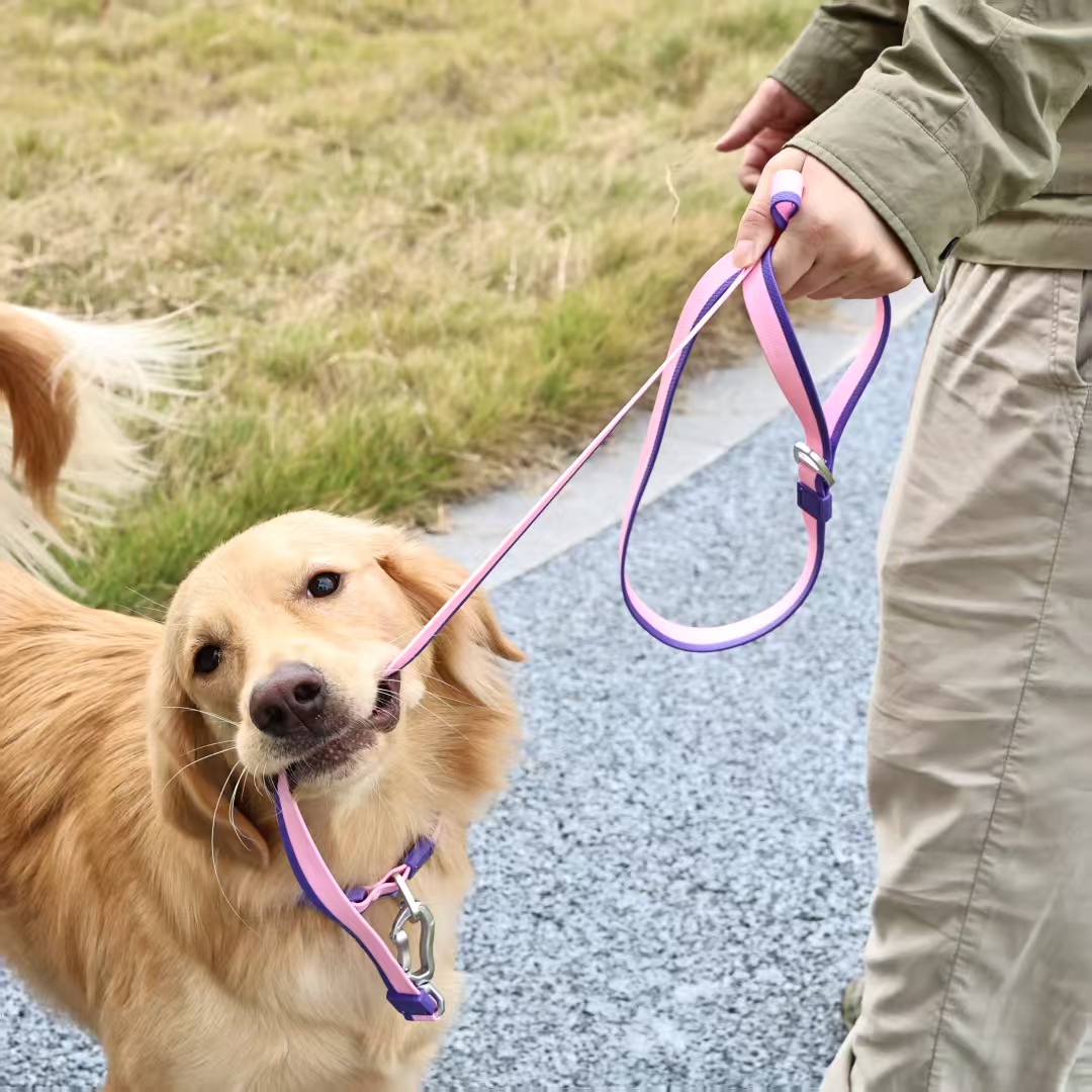 The New Dual-Color Embossed Pet Leash Set Is A Pet Product That Combines Appearance, Fun And Practicality. It Not Only Ensures A Great User Experience With Exquisite Craftsmanship, But Also I