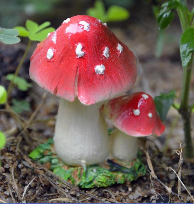 A Bright red mushroom