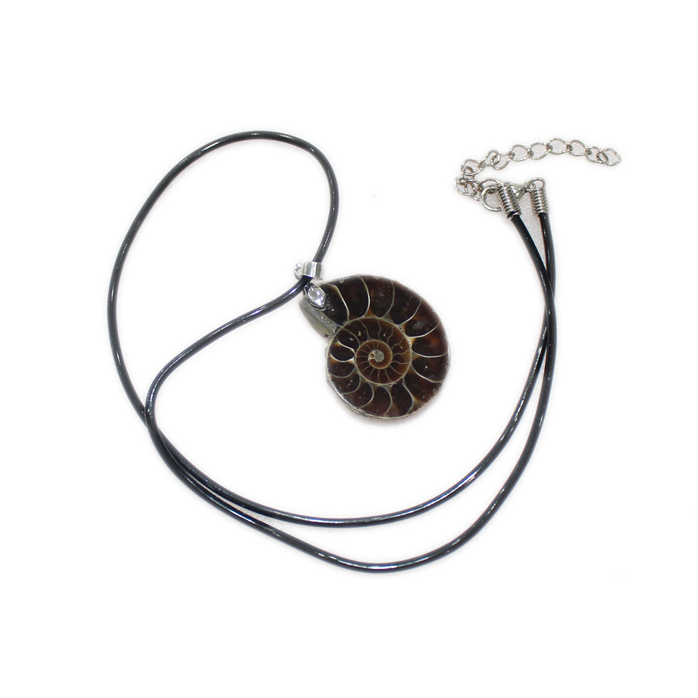 Natural Conch Fossil Pendant Necklace (One pretending.)