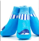 Blue Whale