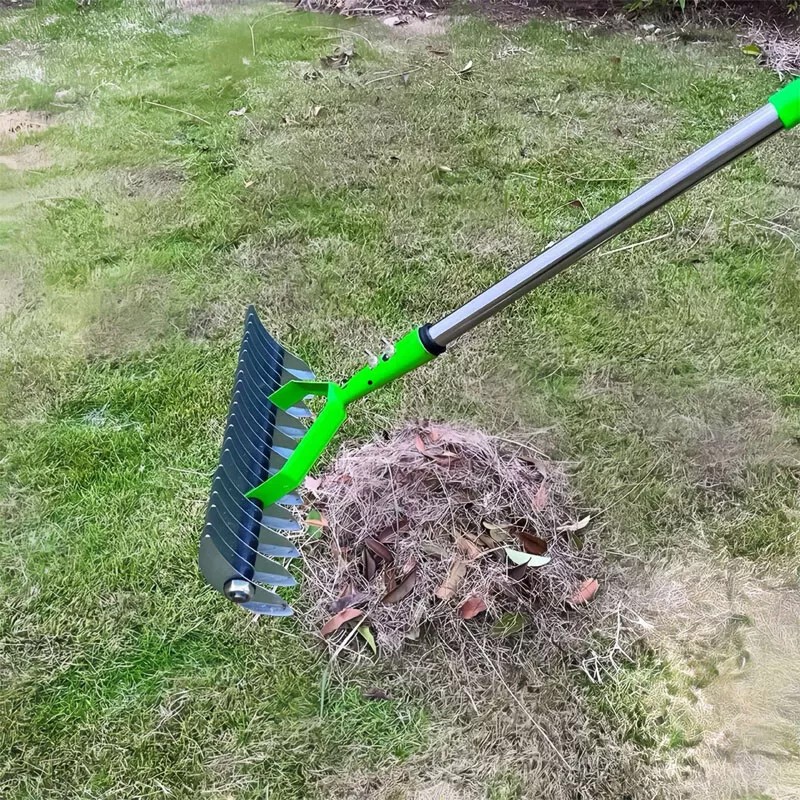 Lawn before and after dethatching showing improved grass health