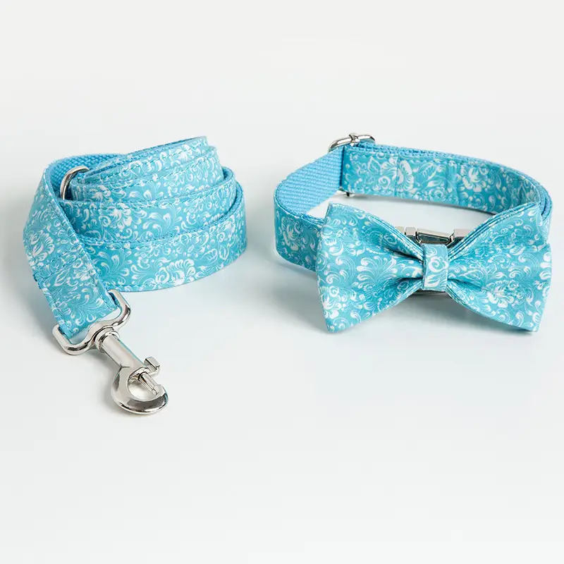 Dog Collar and Leash Set with Detachable Bow Tie