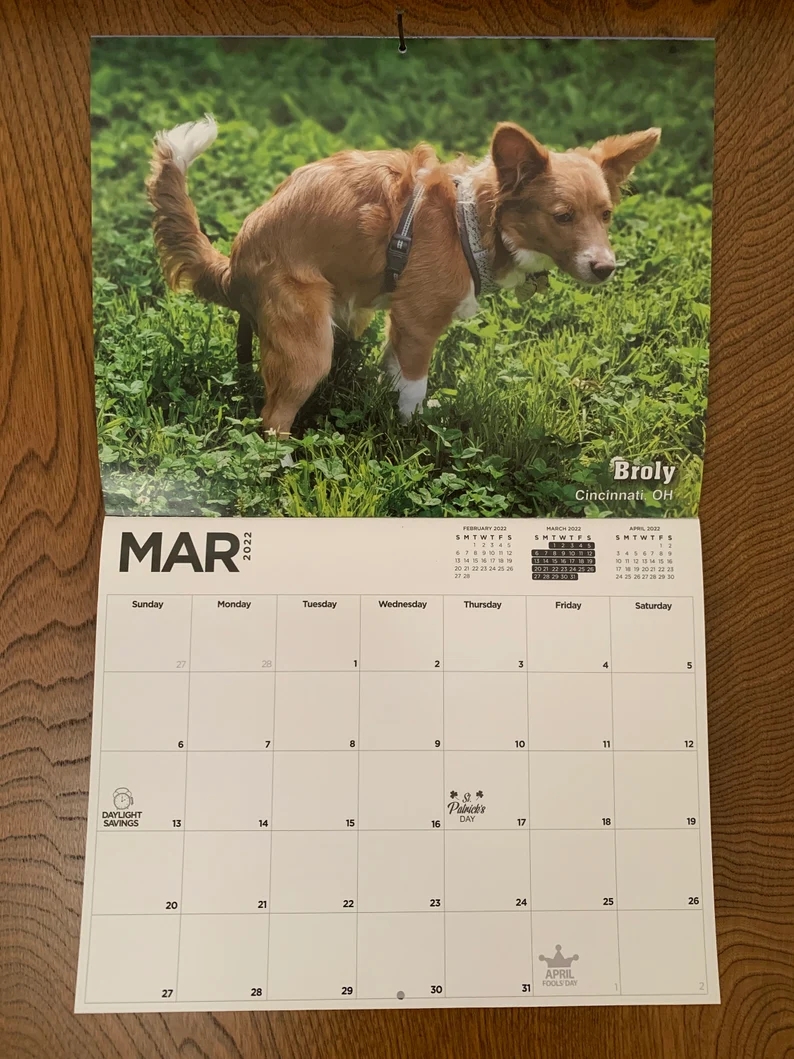 Dog Poop Calendar Animal Parody Desk Calendar (As shown)