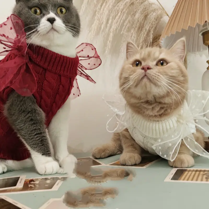 Pet Super Cute Sweater Warm in the New Year