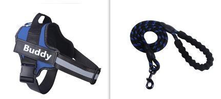 Fashion Simple Pet Leash Chest Strap Set Blue - Shop at LoveMi
