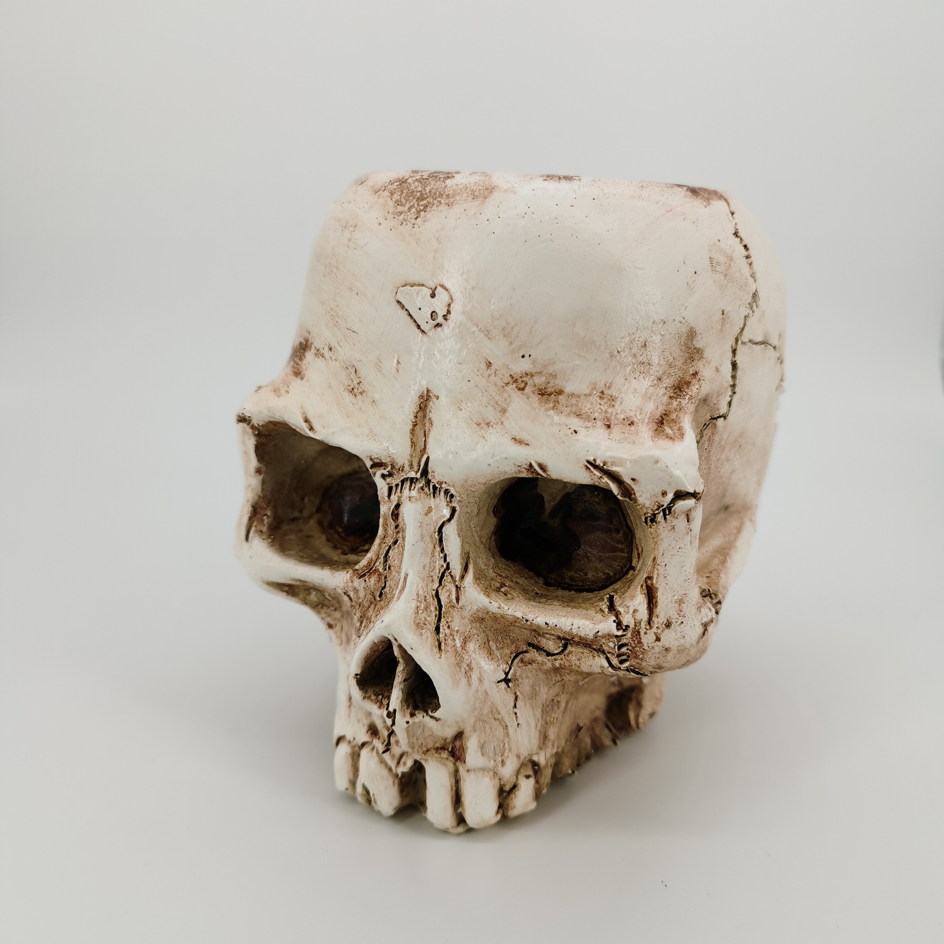 Halloween skull resin planter ornament (skull resin pot