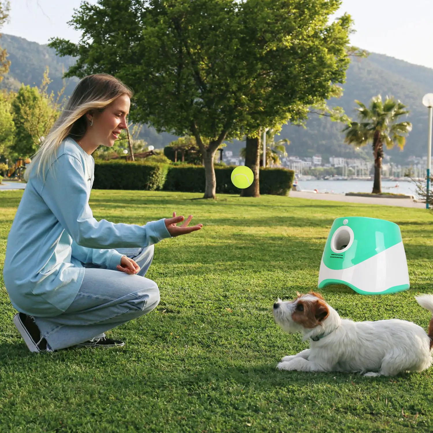 Automatic Dog Ball Launcher Toy Included 6
