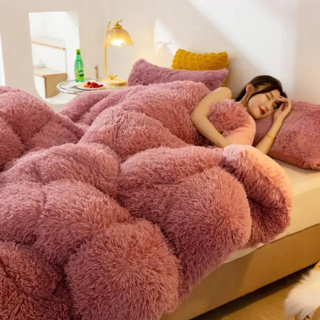 Super Soft Long Fleece Mink Crystal Velvet Thickened Warm Winter Quilt Dousha - Shop at LoveMi