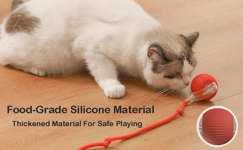 Small Pet Double Sticky Fly Bowl