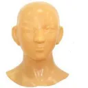 Flesh