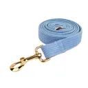 Dog Leash2