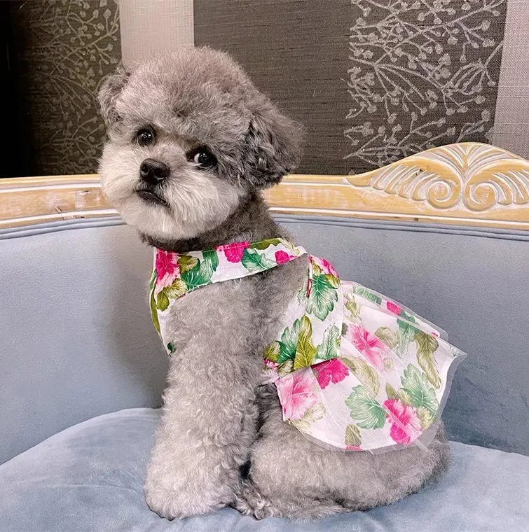 Cotton Ultra-thin Fashion Teddy Hair Bucket Universal Lady's Princess