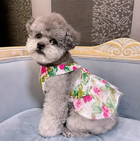 Cotton Ultra-thin Fashion Teddy Hair Bucket Universal Lady's Princess