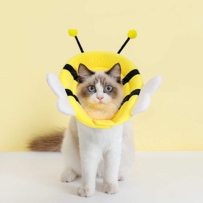 Little Bee