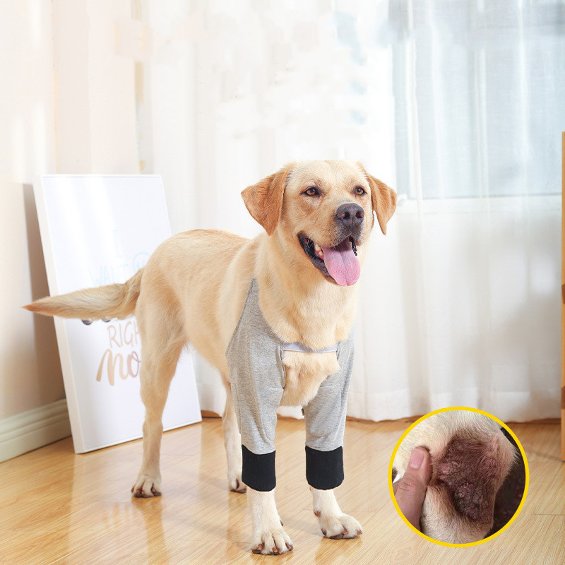 Pet Dog Elbow Pad Clothes Cold And Warm